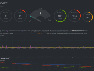 NetData Dashboard - Realtime Data Monitoring - תומר קליין